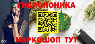 скорость Донской