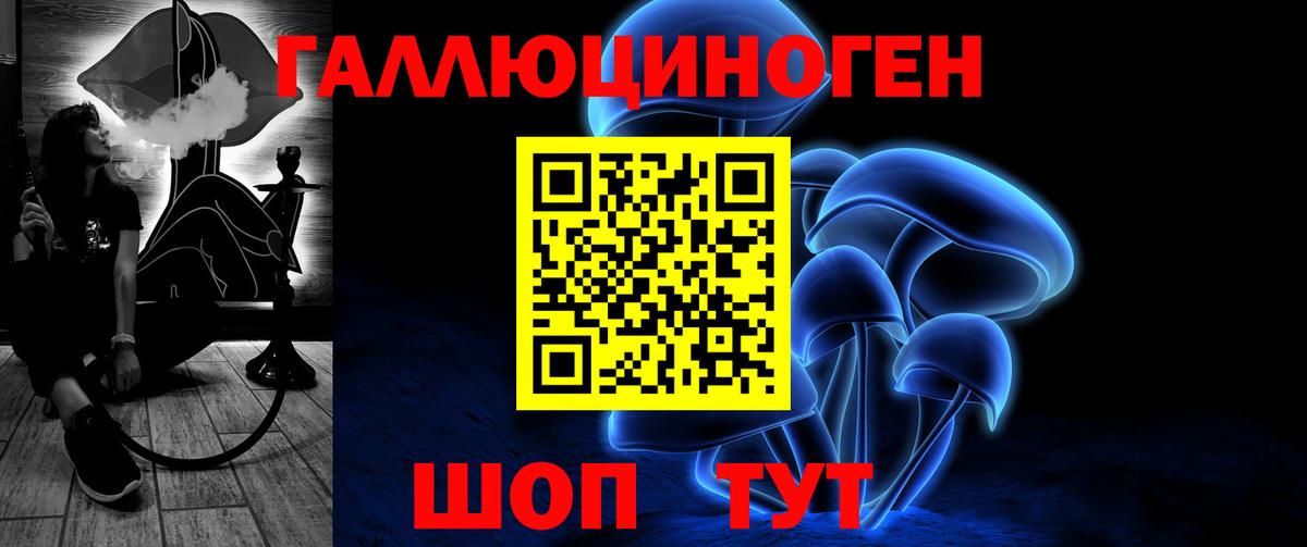 Мыски  Галлюциногенные грибы Cubensis  Вход с VPN 